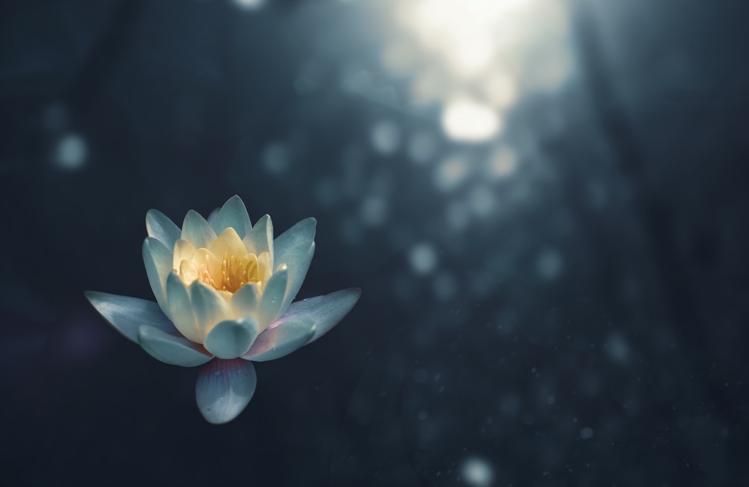 The Benefits of Meditation for Mental Clarity